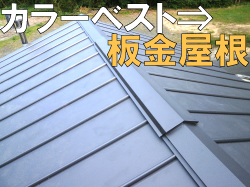 oi[_J[xXg__250_187.png