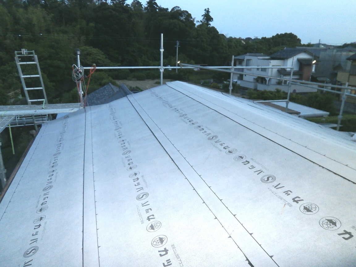 P6090036b.jpg